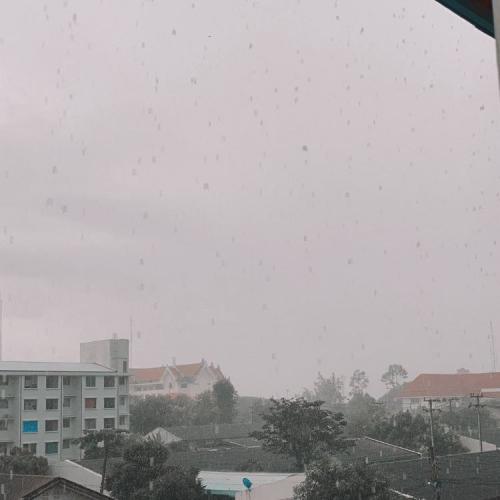 สมาชิกหมายเลข 6090801