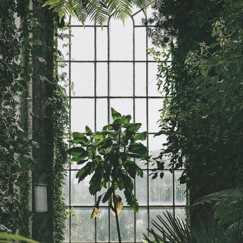 สมาชิกหมายเลข 6685552