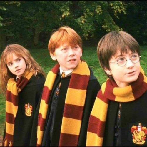 สมาชิกหมายเลข 4065389