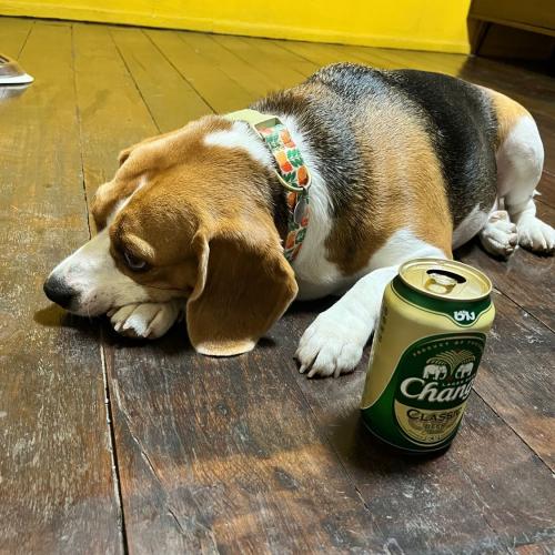 สมาชิกหมายเลข 7761864