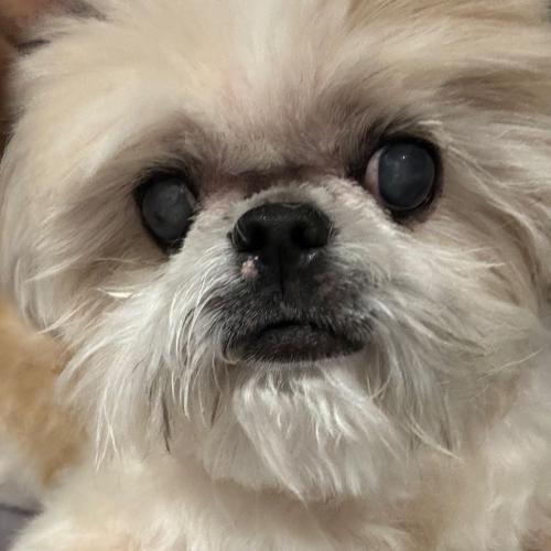 สมาชิกหมายเลข 787684