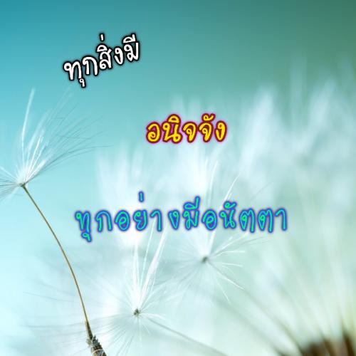 สมาชิกหมายเลข 2228525