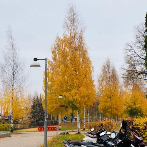 สมาชิกหมายเลข 5133366