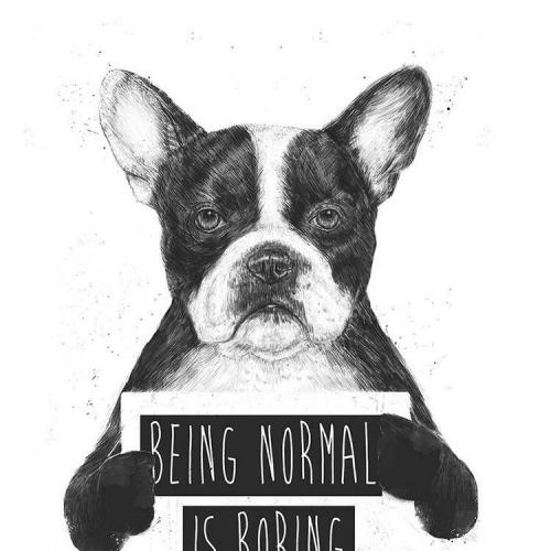 สมาชิกหมายเลข 5140662