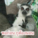 สมาชิกหมายเลข 4842609