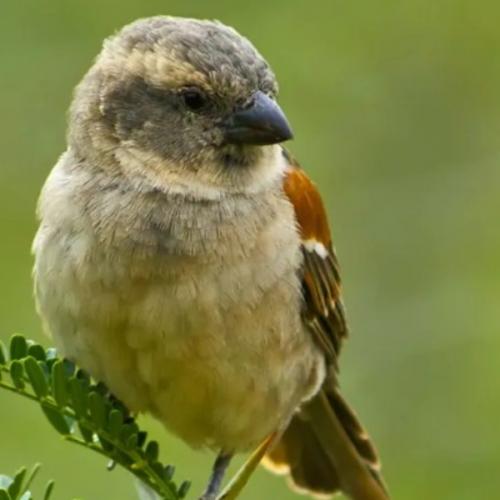 สมาชิกหมายเลข 6714034