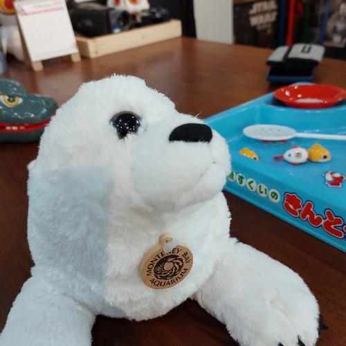 สมาชิกหมายเลข 5547250