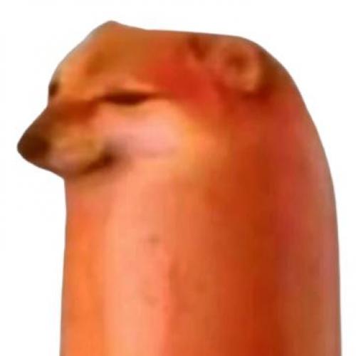 สมาชิกหมายเลข 6421377