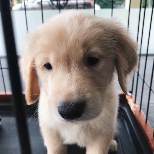 สมาชิกหมายเลข 2766901