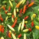 สมาชิกหมายเลข 3937456