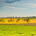 สมาชิกหมายเลข 4414496