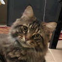 สมาชิกหมายเลข 2905612