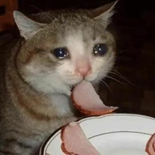 สมาชิกหมายเลข 6092076