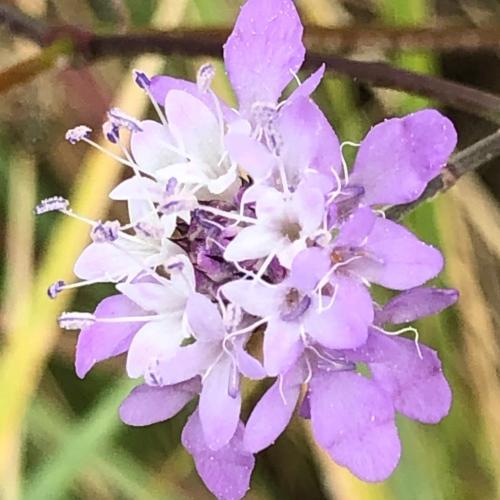 สมาชิกหมายเลข 6714165