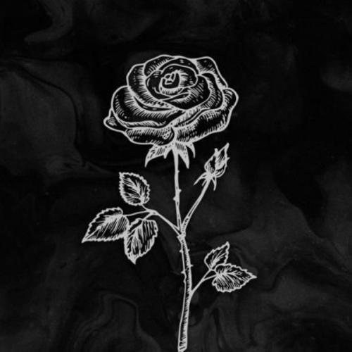 สมาชิกหมายเลข 5529068