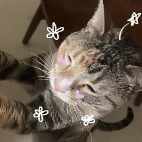 สมาชิกหมายเลข 7443123