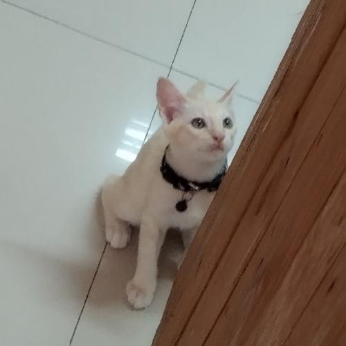 สมาชิกหมายเลข 1489070