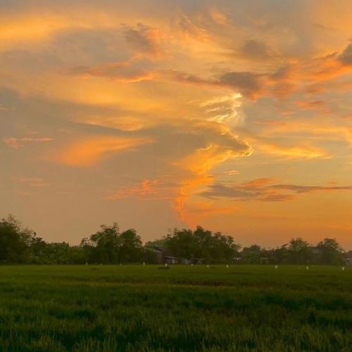 สมาชิกหมายเลข 7656195