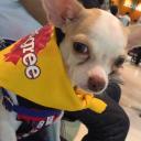 สมาชิกหมายเลข 3013970