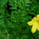 สมาชิกหมายเลข 3937342