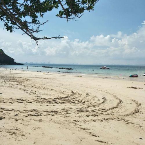 สมาชิกหมายเลข 2490796