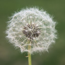 สมาชิกหมายเลข 4765068