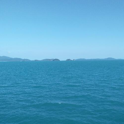 สมาชิกหมายเลข 5141295