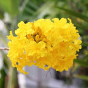 สมาชิกหมายเลข 935874