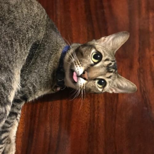 สมาชิกหมายเลข 3327533