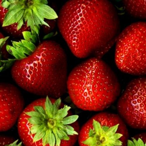 สมาชิกหมายเลข 1325424