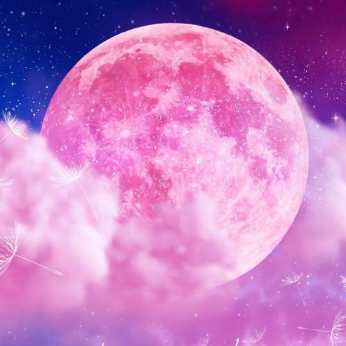 สมาชิกหมายเลข 6715138