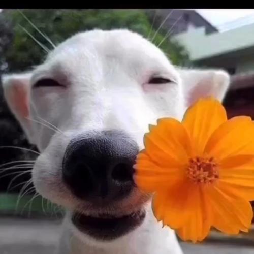 สมาชิกหมายเลข 7472423