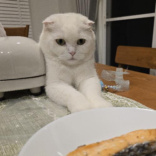 สมาชิกหมายเลข 5269045