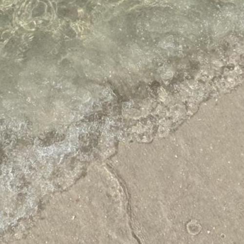 สมาชิกหมายเลข 8370807