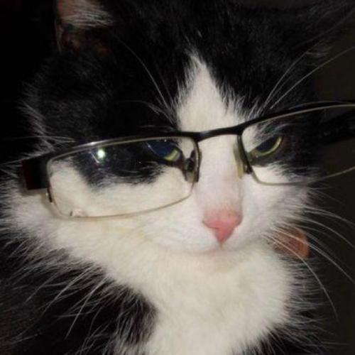 สมาชิกหมายเลข 8370889