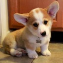 เบคอนเป็นของหวาน