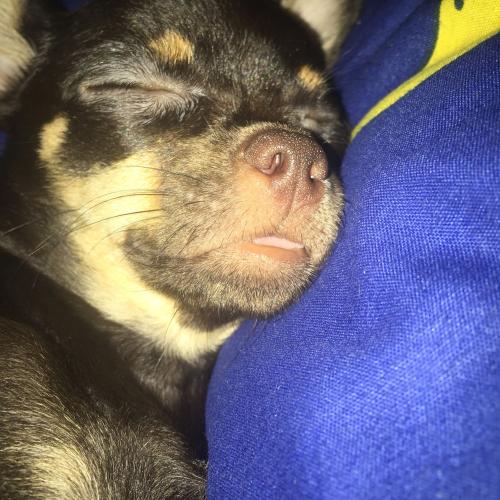 สมาชิกหมายเลข 4543808