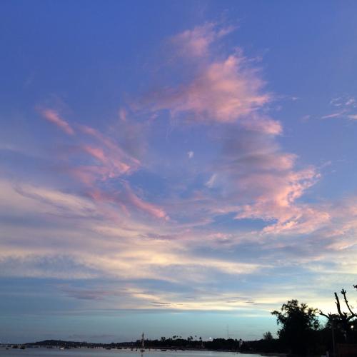 สมาชิกหมายเลข 4546198