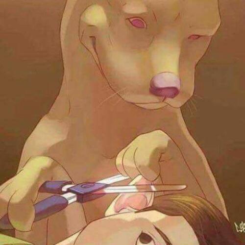 สมาชิกหมายเลข 4764147