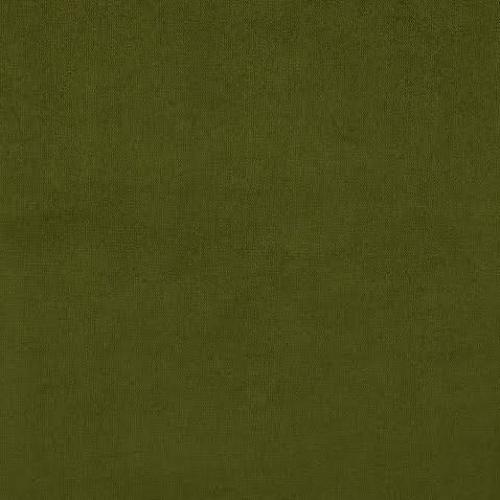 กากีแกมเขียว