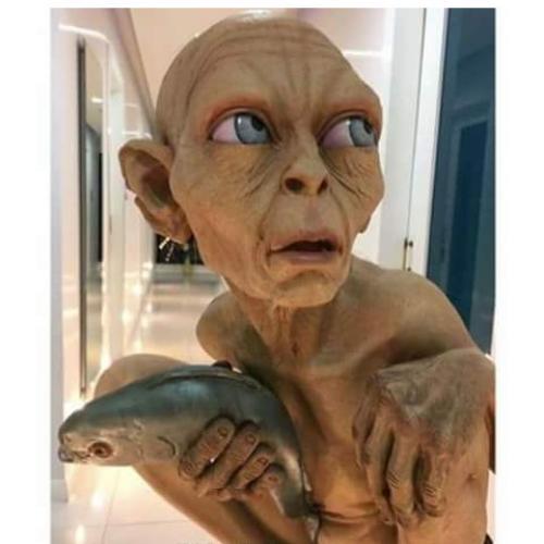 สมาชิกหมายเลข 5170018