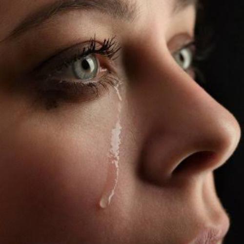 สมาชิกหมายเลข 5540957