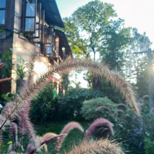 สมาชิกหมายเลข 1828802