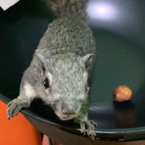 สมาชิกหมายเลข 6093101