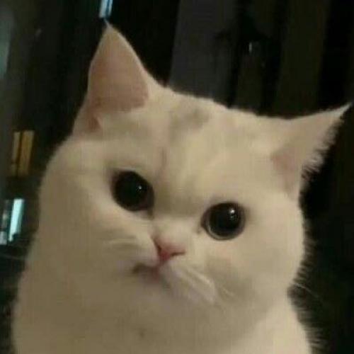 สมาชิกหมายเลข 4943984