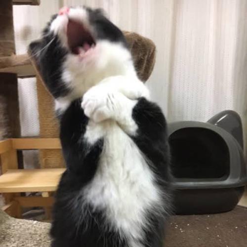 สมาชิกหมายเลข 5887096