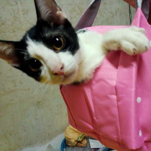 สมาชิกหมายเลข 6689148