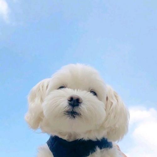 สมาชิกหมายเลข 7473025