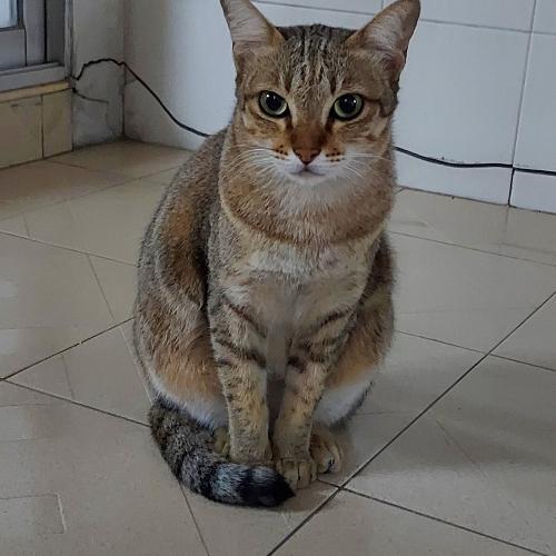 พรพนมไพร