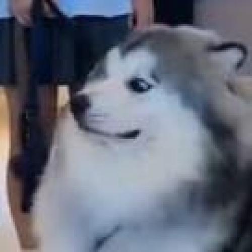 สมาชิกหมายเลข 5833213